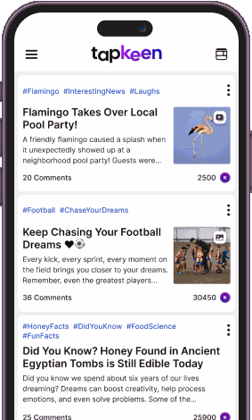 Content-focused feed interface